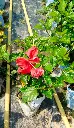 Screenshot 2026-07-16 at 3.23.35 PM.webp