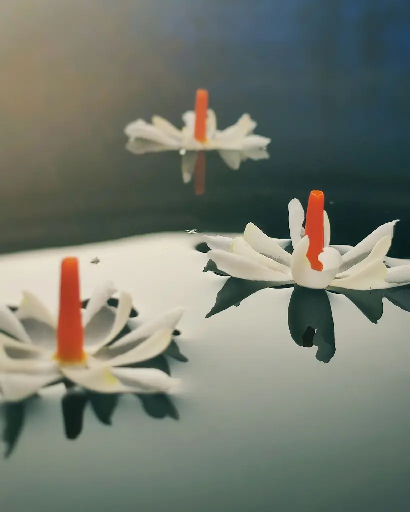 unsplash_RkT8PXHec-g_jasmine.jpg.webp
