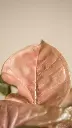 unsplash__nilLXMO_ao_Syngonium Pink.jpg.jpg.jpg.jpg.webp